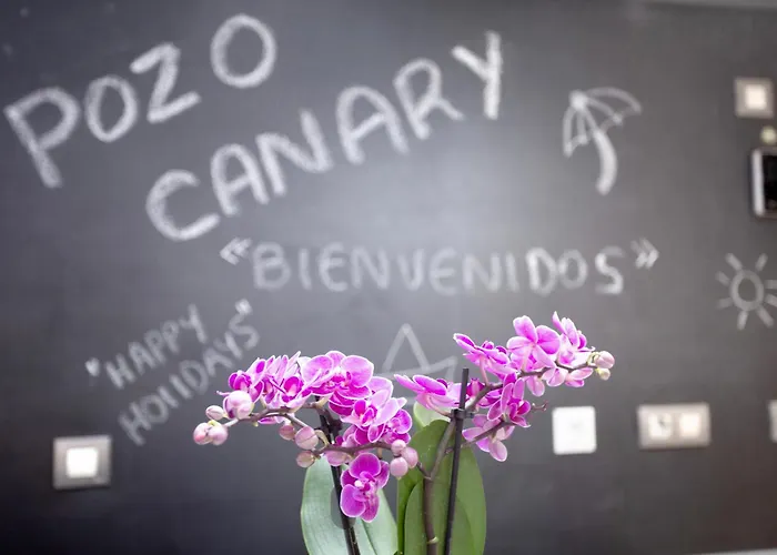 Duplex Pozo Canary